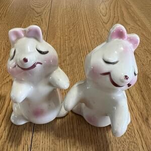 Vintage Bunny Hug Van Tellingensalt & pepper shaker set. Corks are inside.